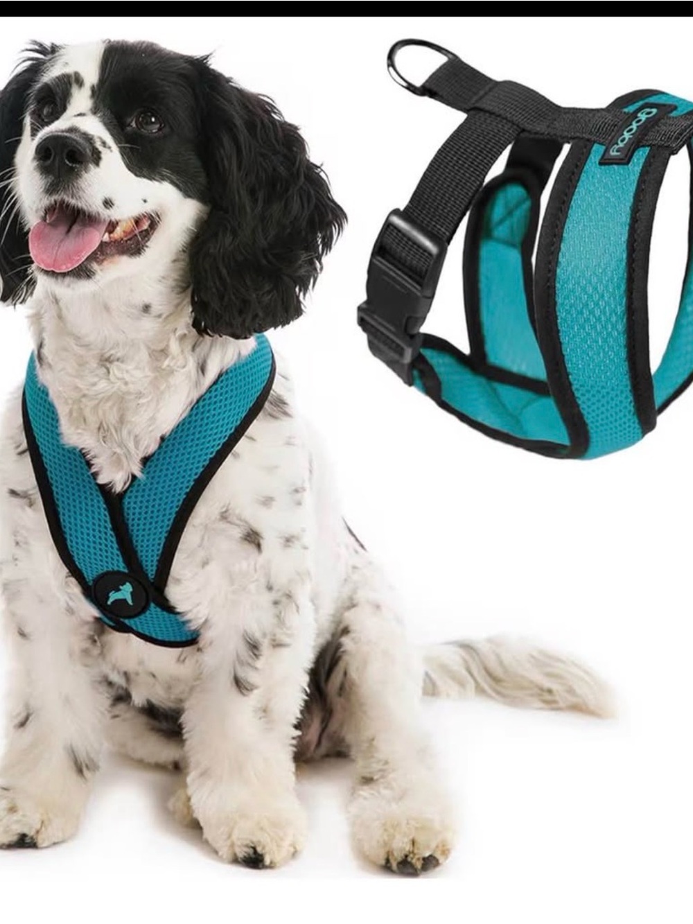 Adjustable Teal Mesh Dog Harness with Padded Comfort